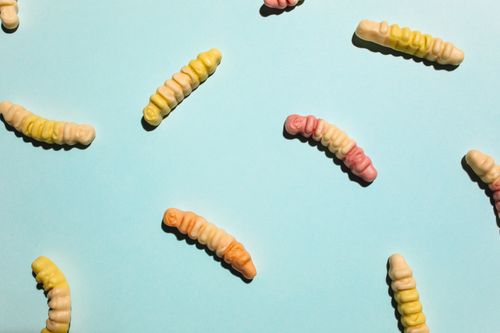 Free Vibrant gummy worms arranged on a light blue surface, showcasing fun candy colors. Stock Photo
