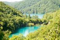 Body of Water Surrounded by Trees