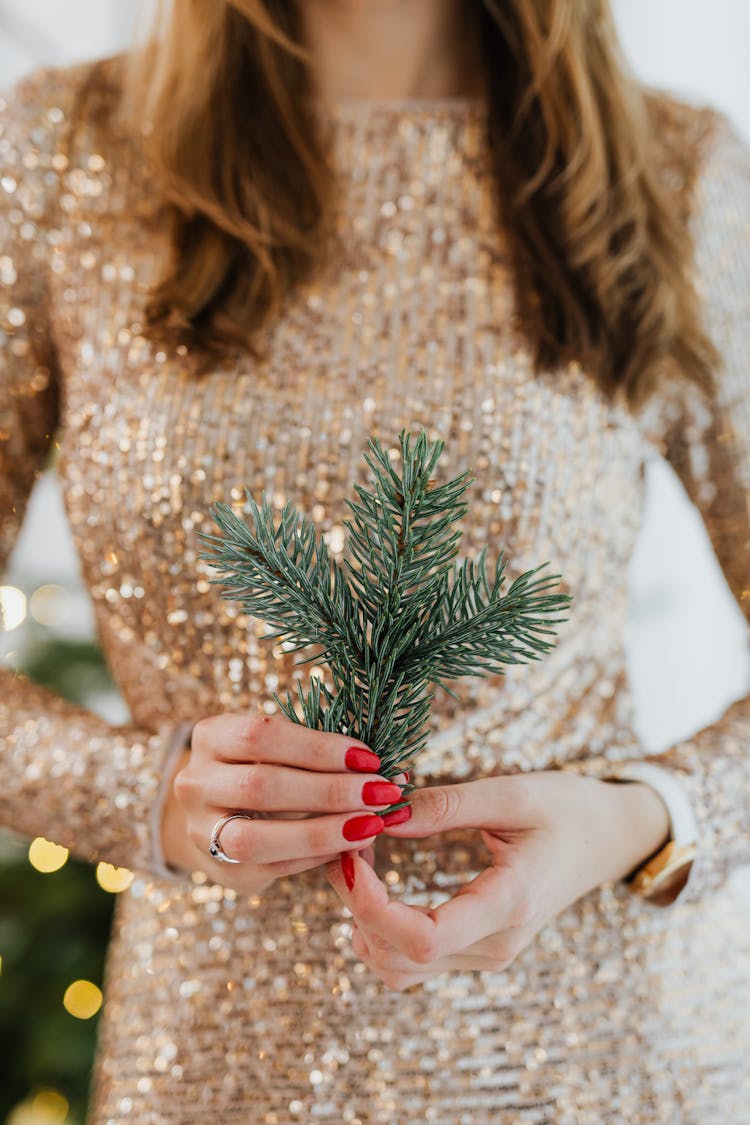 Woman Holding A Christmas Tree Branch 