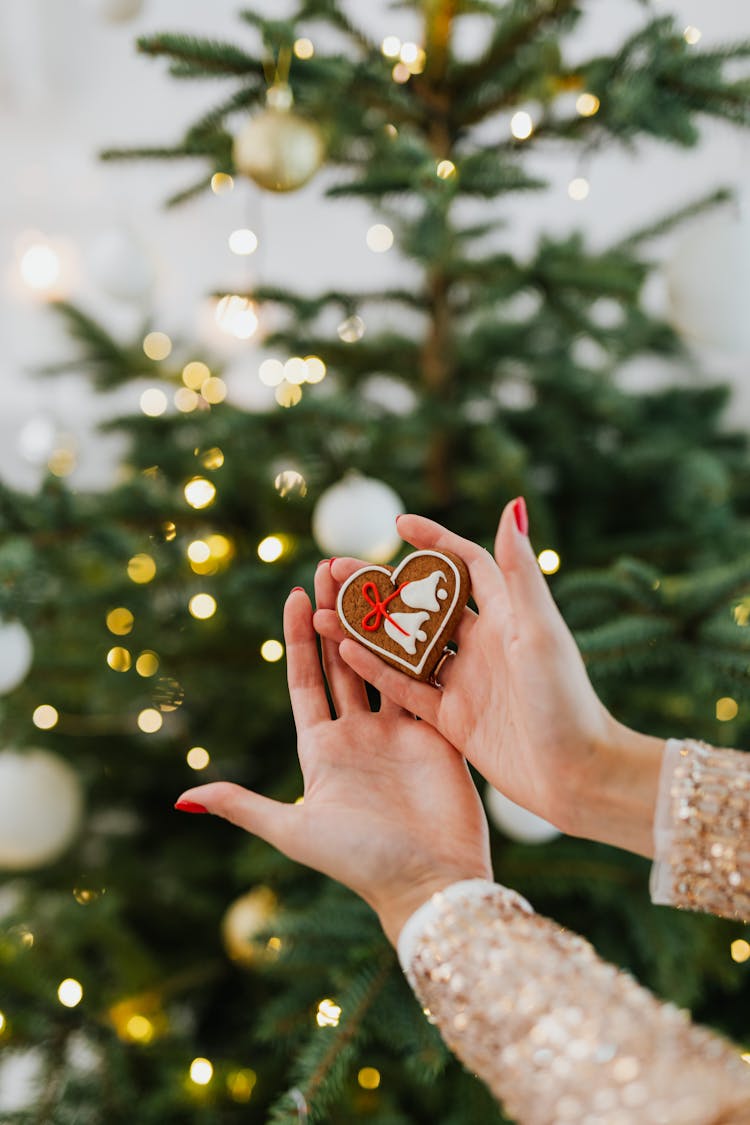 Heart Cake In Female Hands