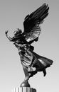 Black and Gray Angel Statue
