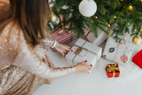 Photos gratuites de accroupi, arbre de noël, boîtes