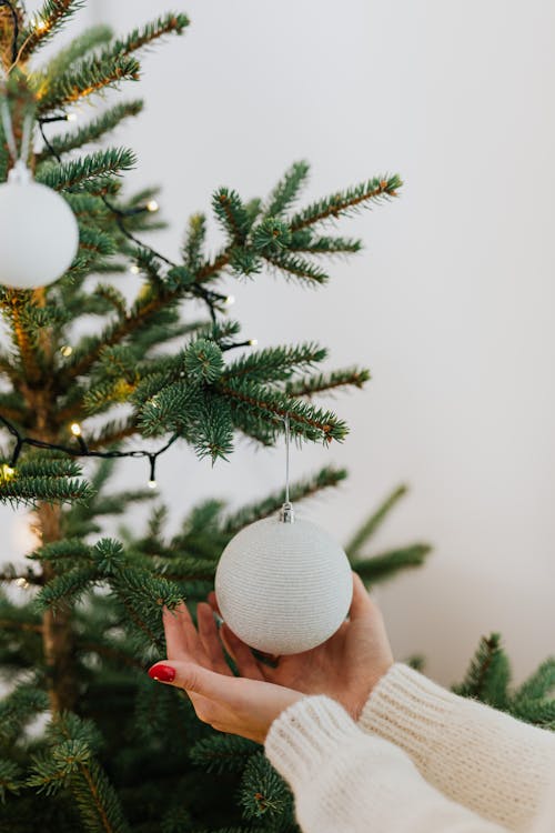 Woman Holding A White Christmas Ball Hanging On Tree
