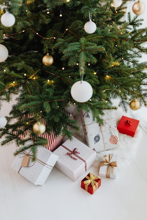 Free Christmas Presents under the Christmas Tree Stock Photo