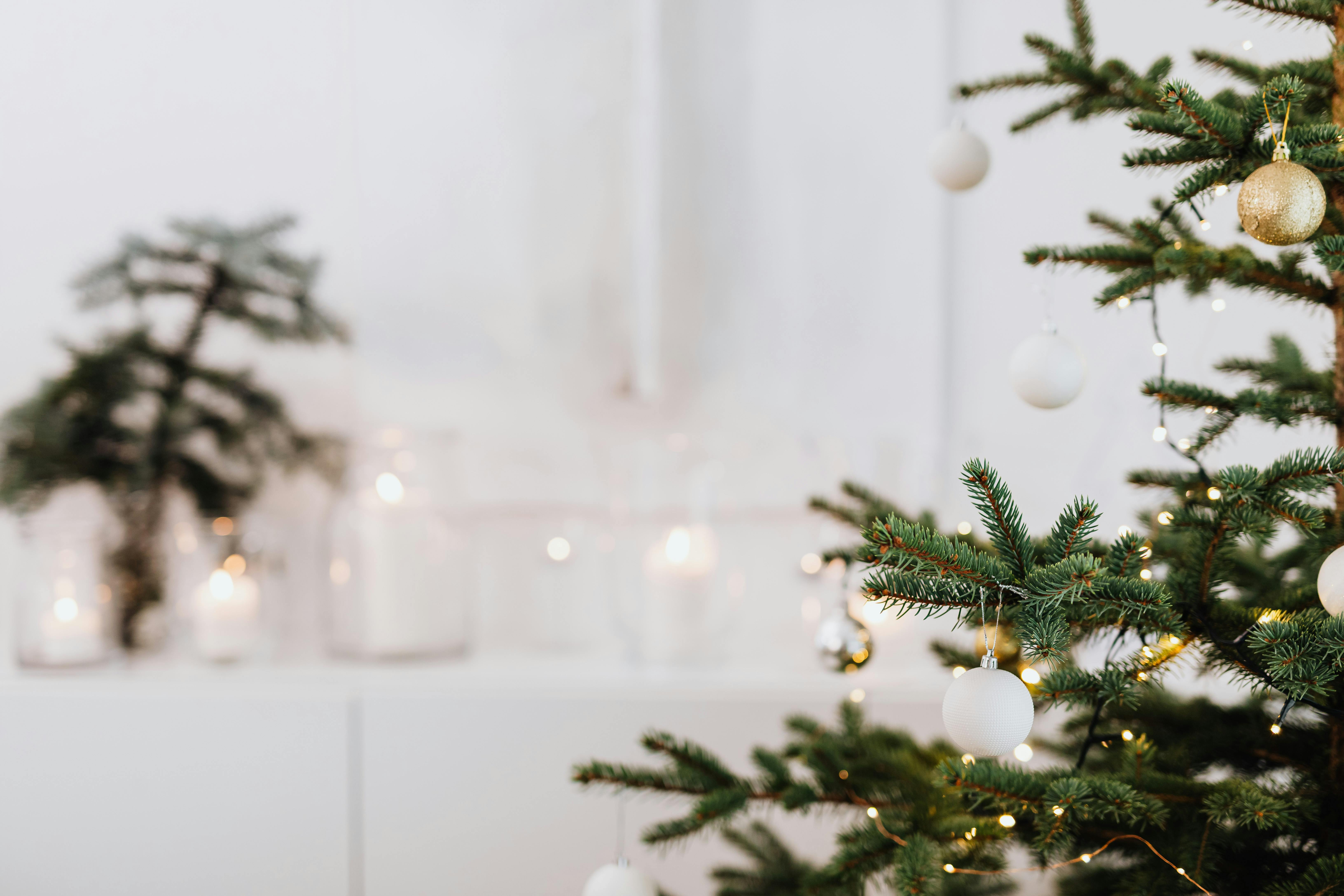 baubles on green christmas tree