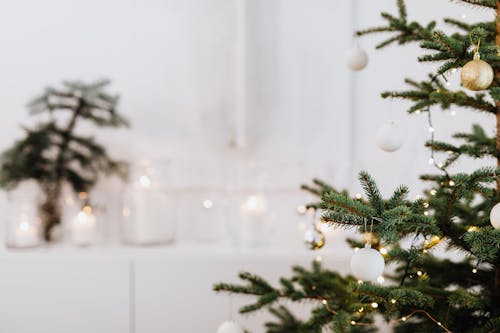 Baubles on Green Christmas Tree