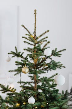 Simple and elegant decorated Christmas tree with minimalist ornaments indoors.