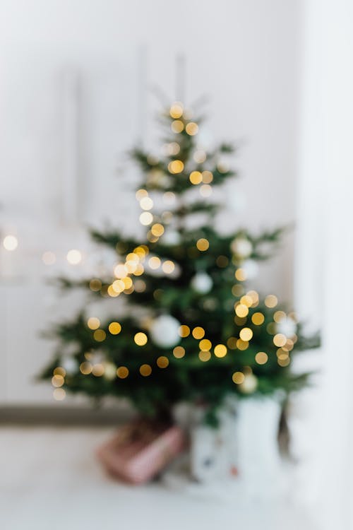 Free White and Yellow String Lights On Christmas Tree Stock Photo