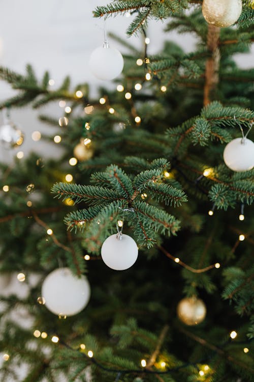 Free White Baubles on Green Christmas Tree Stock Photo