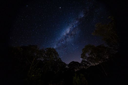 From below of night scenery with glowing stars and milky way and galaxies on night sky above high trees outside