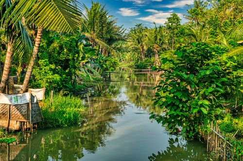 Free Serene river surrounded by lush greenery in Banten, Indonesia, showcasing tropical beauty. Stock Photo