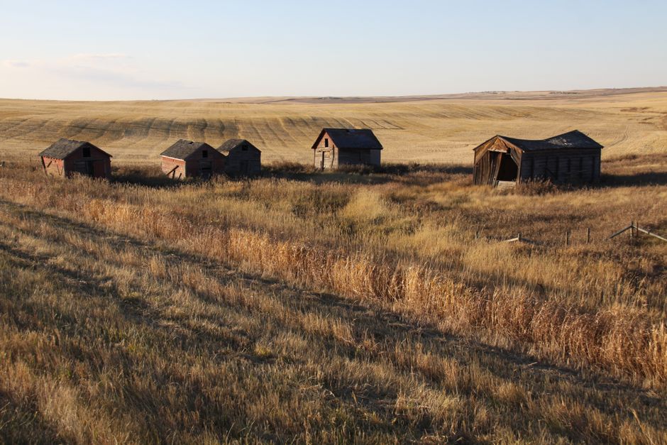 From Jamaica to the Prairies: One Family's Search for a Quieter Life in Canada