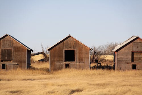 Abandoned Barns on Brown Grass Field