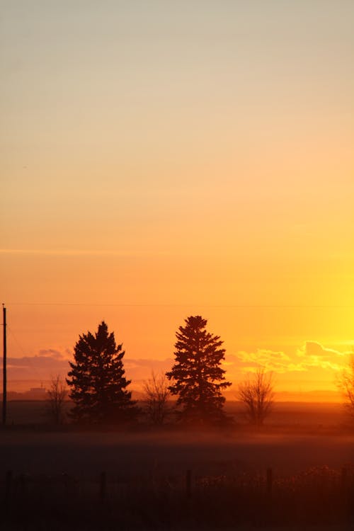 日落, 美丽的夕阳, 金色的夕陽 的 免费素材图片