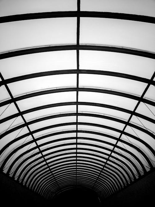 Grayscale Photo of Glass Ceiling
