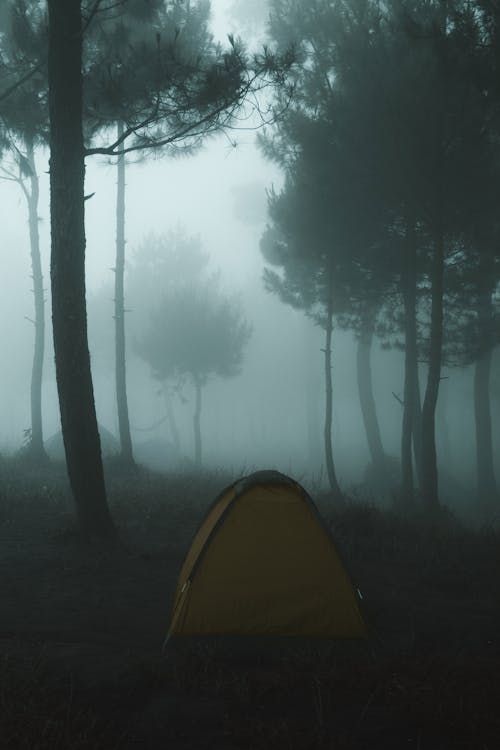 Yellow Tent In The Woods On A Foggy Day