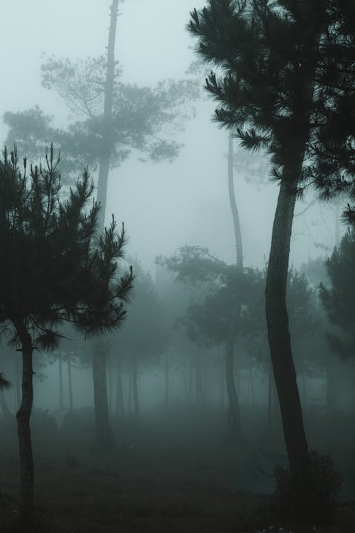 Fotobanka s bezplatnými fotkami na tému exteriéry, fotografia prírody, počasie