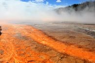 Fog above Geyser