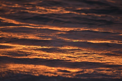 Kostnadsfri bild av hav, reflektion, solljus