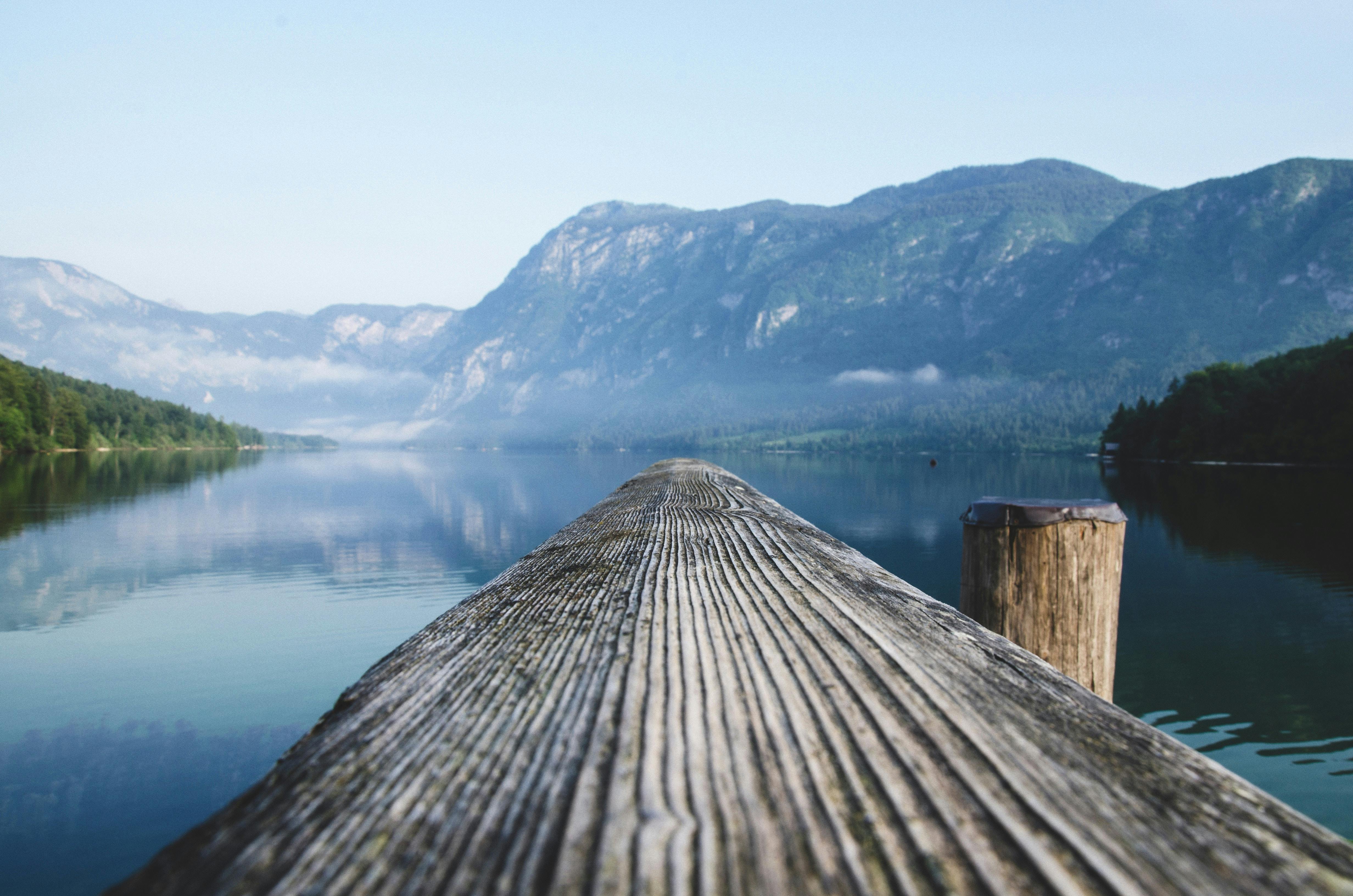 brown wooden dock