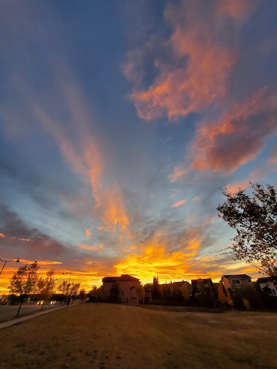 Elon Musk xAI 200億美元E輪融資爆發:2026年AI市場將如何重塑全球產業鏈? Elon Musk xAI 200億美元E輪融資爆發:2026年AI市場將如何重塑全球產業鏈?