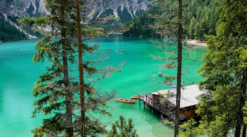 Imagine de stoc gratuită din Alpi, alpin, apă