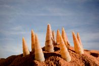 Brown Cone Shaped Ice Cream