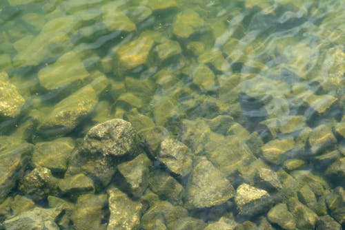 Free stock photo of rocks, underwater Stock Photo