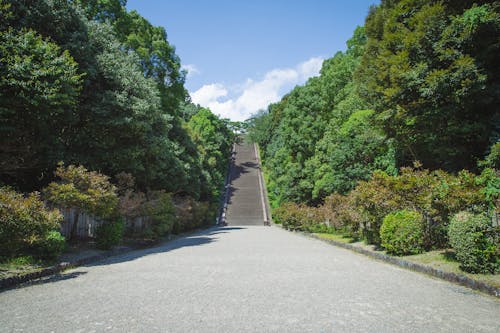 Perspective of empty asphalt roadway going through lush green forest trees and leading to stiff stone stairway on sunny summer weather