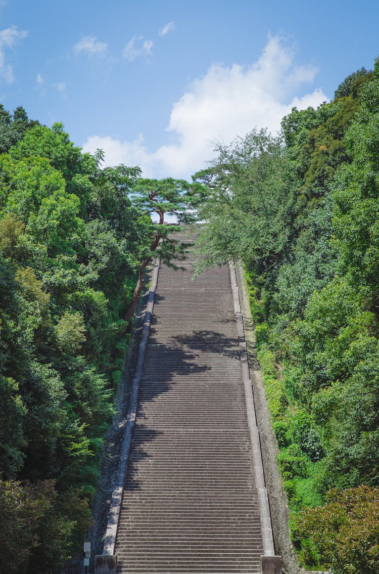 Stiff Stone Stairs Between Lush Trees