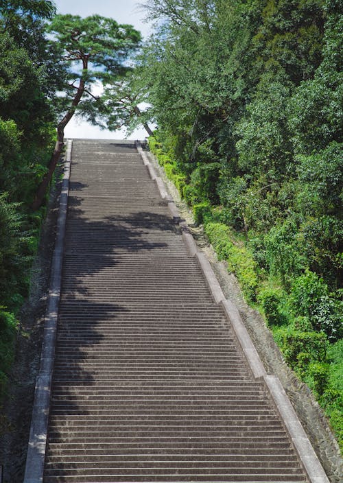 Stiff stone stairway going through abundant lush trees in sunny park on fair summer weather