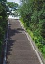 Stiff stone stairway going through abundant lush trees in sunny park on fair summer weather