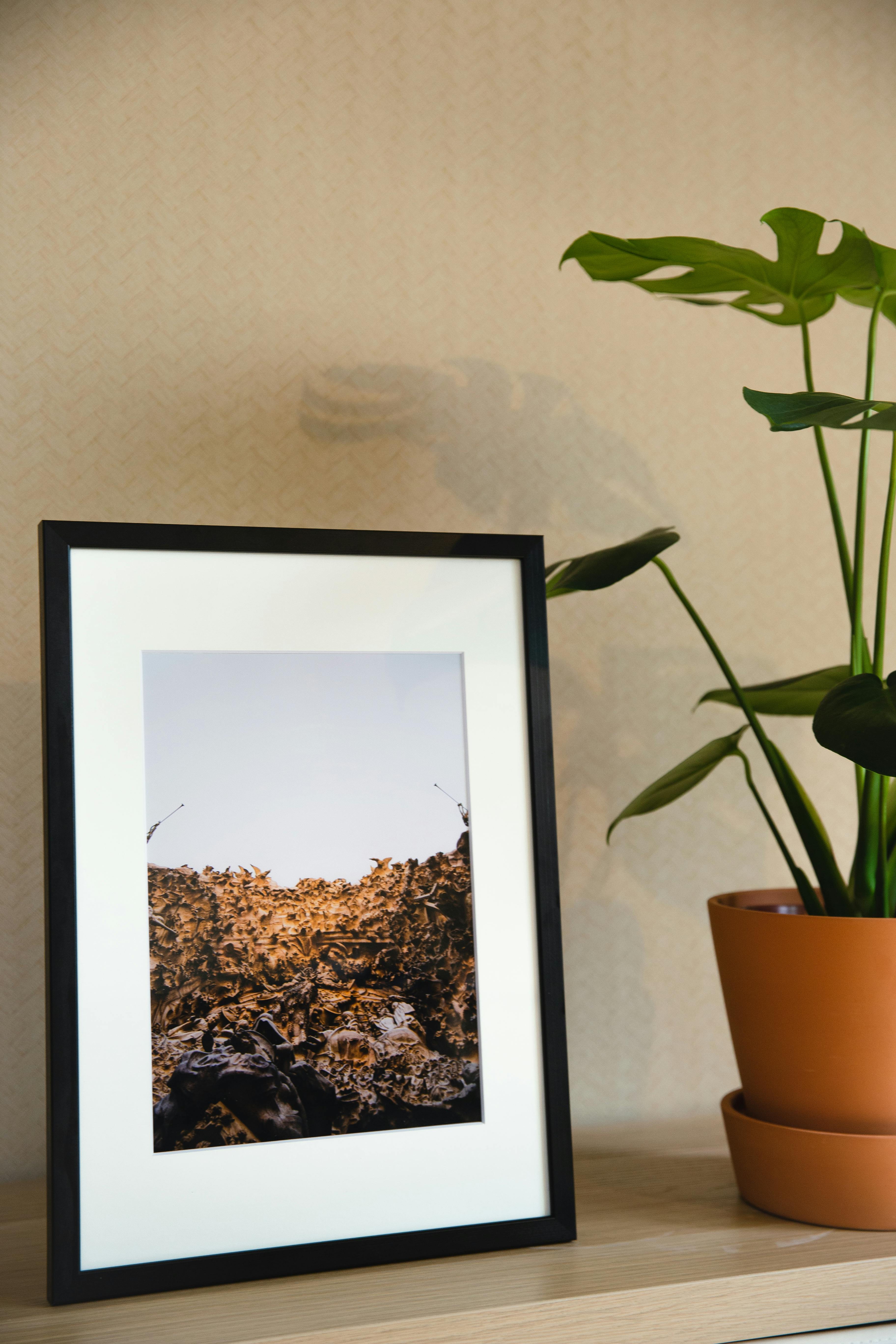 framed nature picture on shelf near potted plant