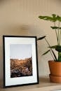 Shelf with nature picture put in black frame and lush potted houseplant in light room