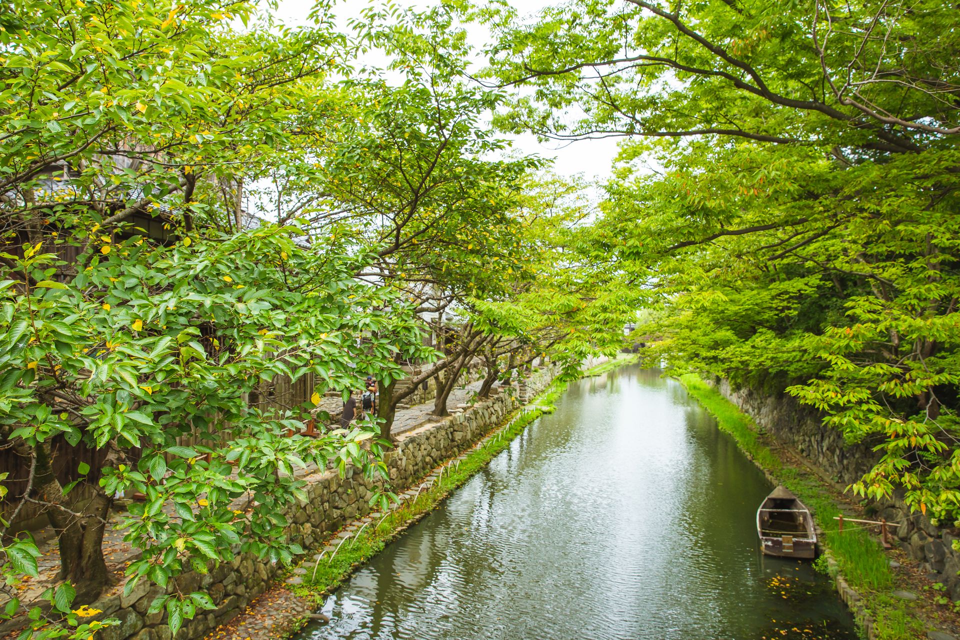 Narrow calm channel flowing through verdant trees