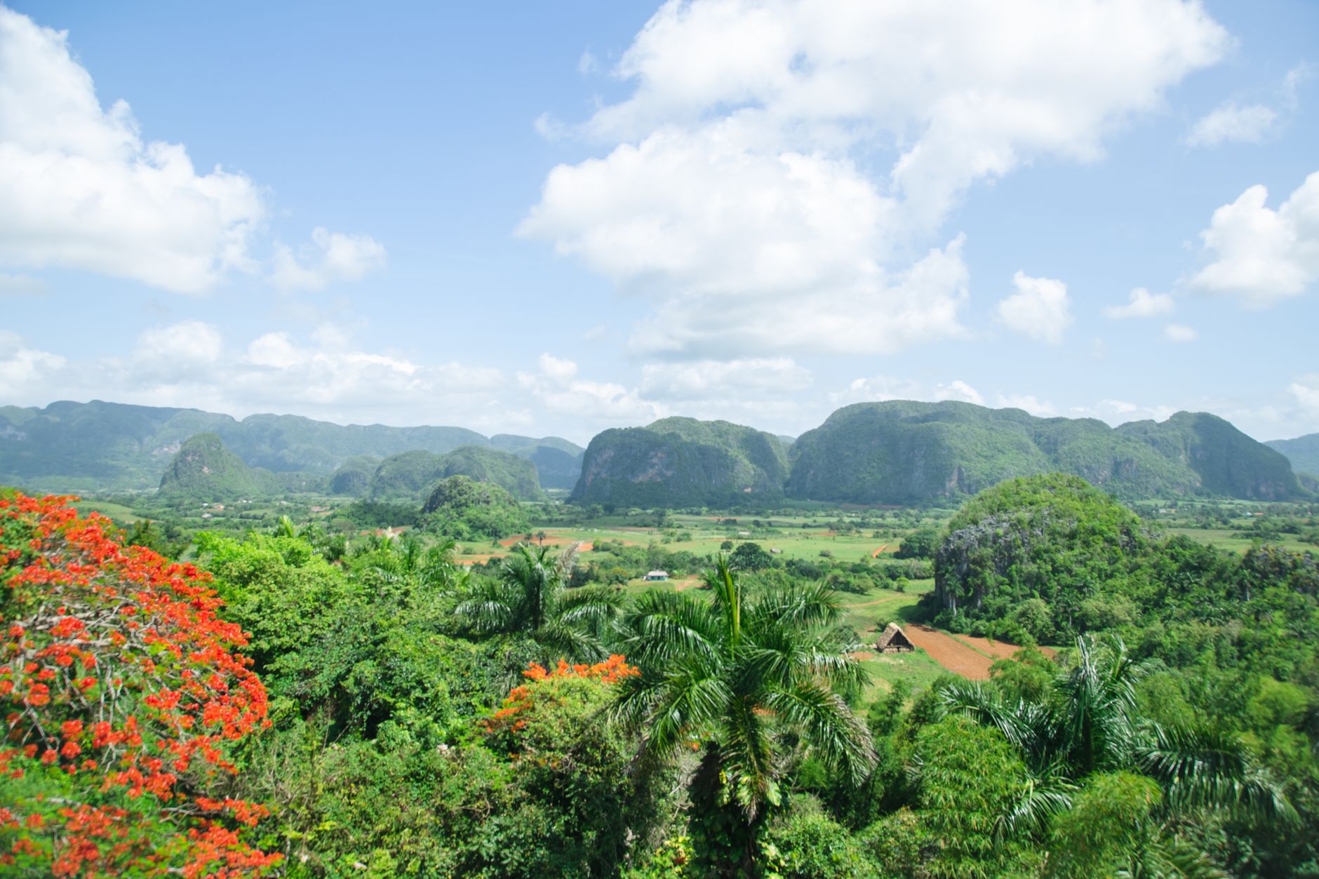 Magnificent scenery of tropical vast Vinales Valley located on bottom of rough green mountains on sunny weather
