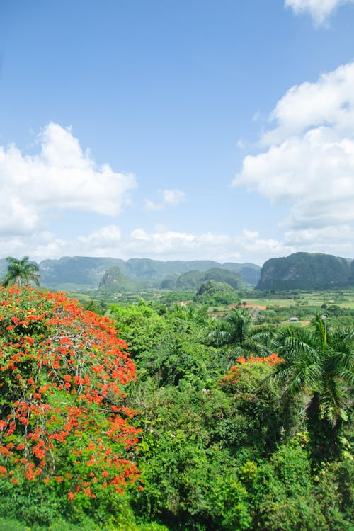 คลังภาพถ่ายฟรี ของ vinales valley, กลางแจ้ง, กว้างขวาง