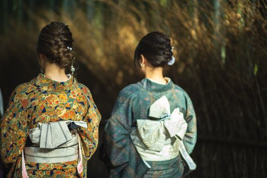 一位留着辫子、身着传统服饰的匿名女性背影站在自然之中，背景模糊，周围是干枯的植物