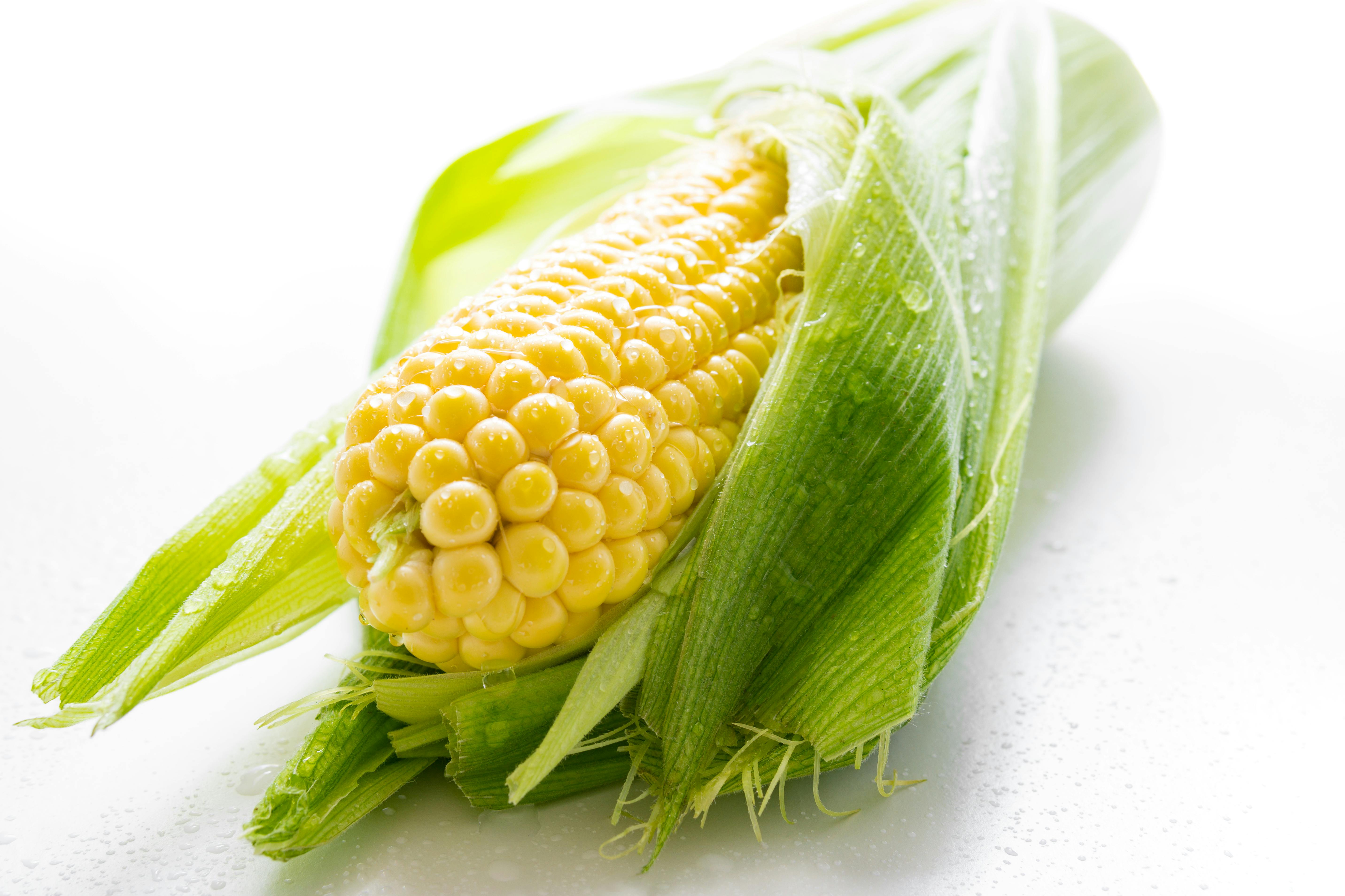 100 Corn Wallpapers  Wallpaperscom