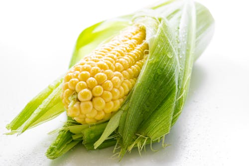 Free Yellow Corn Stock Photo