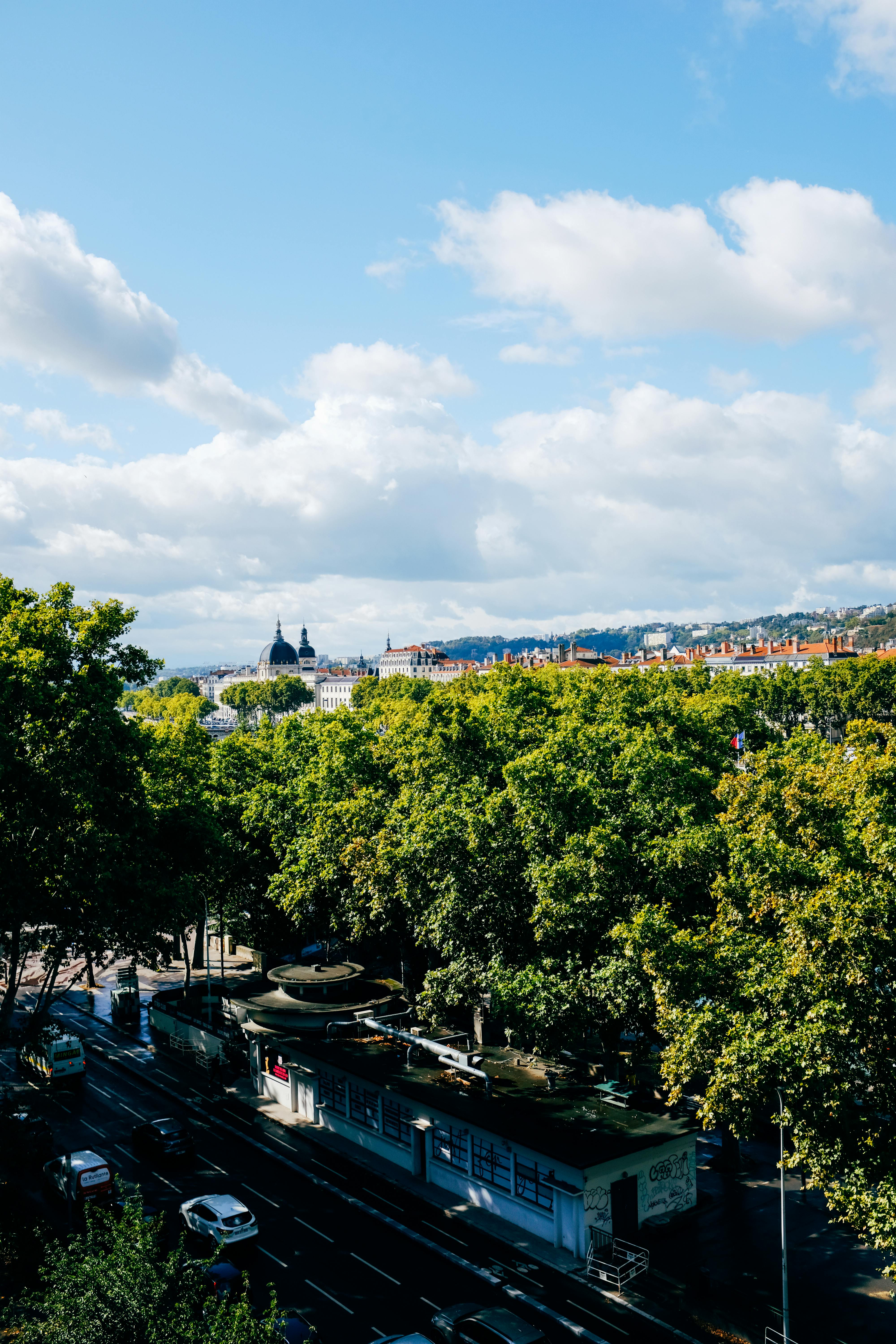 Contemporary town buildings amidst lush trees · Free Stock Photo