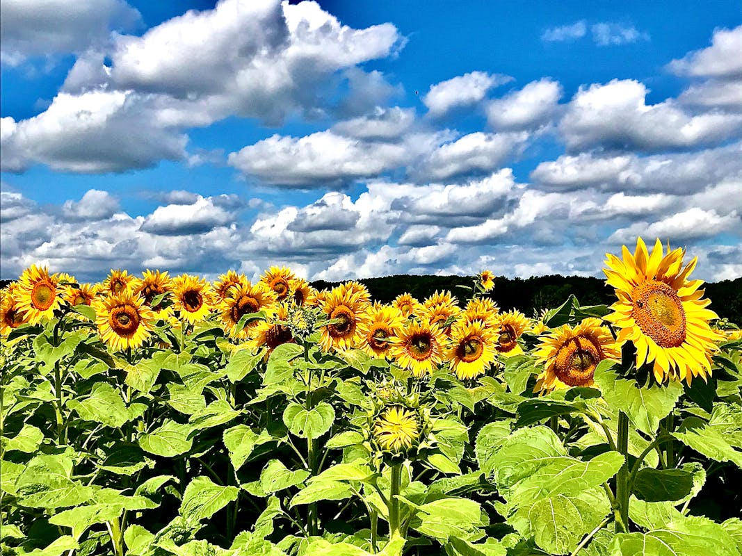 AI工具崛起如何重塑程式開發:Stack Overflow流量暴跌背後的2026產業變革 AI工具崛起如何重塑程式開發:Stack Overflow流量暴跌背後的2026產業變革