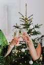 两名妇女在一棵装饰好的圣诞树前举杯庆祝节日