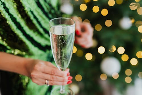 Shallow Focus Photo of Person Holding a Glass of Wine