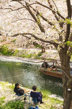 在晴天樱花下波光粼粼的河水附近，一对匿名夫妇坐在绿色堤岸的椅子上，留下背影