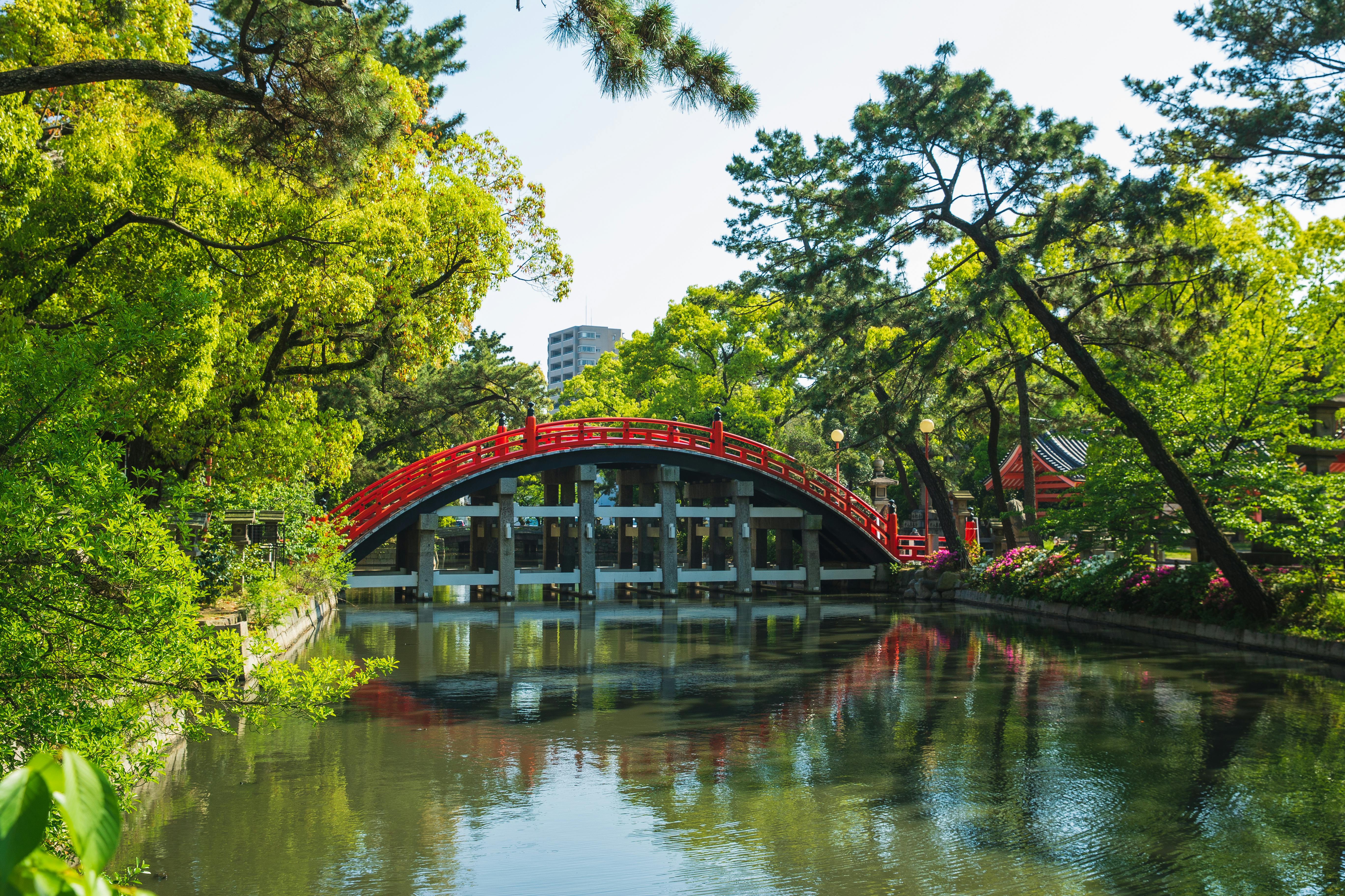 Red Bridge over River Surrounded by Green Trees · Free Stock Photo