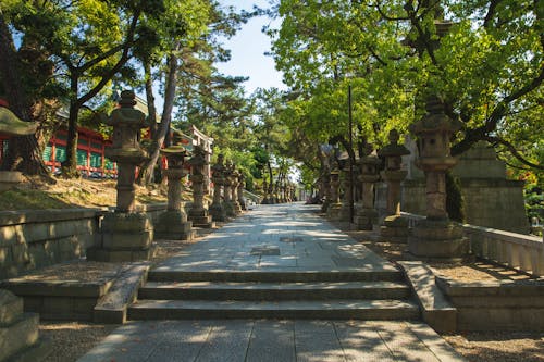 Long pathway surrounded by stone lantern