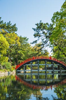 Picturesque view of river with reflection of old oriental footbridge located in green park of Sumiyoshi Grand Shrine Osaka Japan with the Quote "You can't put a limit on anything. The more you dream, the farther you get." written on it and have average color value #74846C