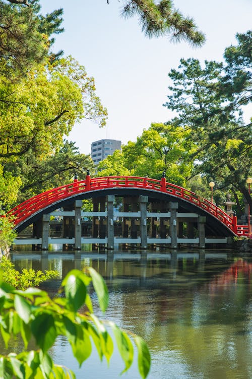 在城市公园绿树环绕的河上的拱形行人天桥