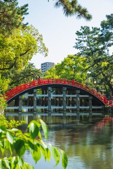 夏日阳光明媚，日本大阪住吉大神社公园内拱形人行桥的绿化景观